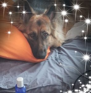 Meet your Posher, Diane